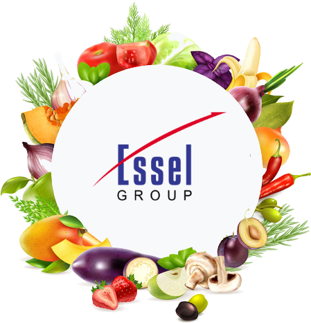 essel group